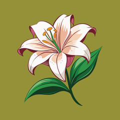 Vibrant Orange Lily with fiery orange petals fanning out, this lily radiates energy and warmth, vector art illustration