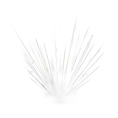 Transparent Iridescent Burst: An Abstract Visual Art Exploration