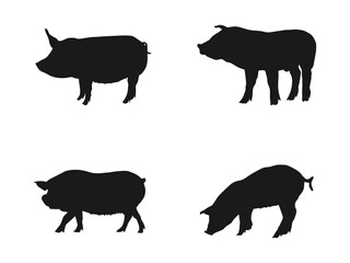Quality black and white vector silhouettes of pigs. Vector black illustration on white. pig silhouette vector, Animal in black and white. Silhouette of a pig isolated on a white background.