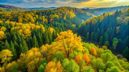 Amidst a verdant forest, the first yellow leaves appear on branches, signaling the arrival of autumn and showcasing