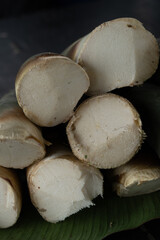 Detail of bamboo shoot with white and close