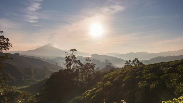 beautiful sunrise at the tea plantation cameron highlands, malaysia