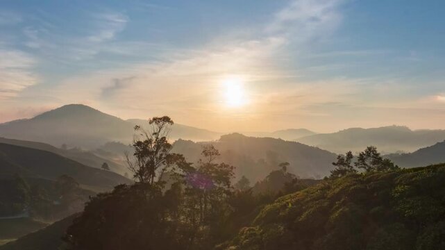 beautiful sunrise at the tea plantation cameron highlands, malaysia