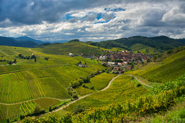 Blick auf Niedermorschwihr im herbstlichen Elsass