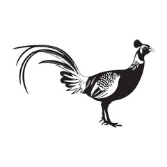 pheasant bird vector art illustration