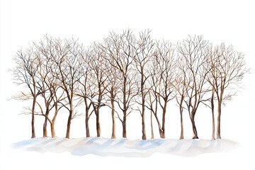 A tranquil winter scene featuring a row of bare trees against a soft, snowy background, evoking the beauty of nature in its serene state.