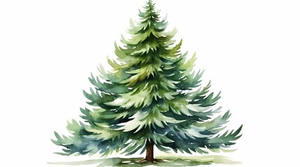 Serene watercolor illustration of evergreen trees in a misty forest setting.