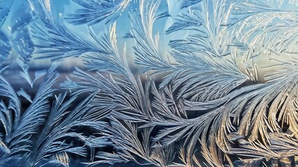 Intricate frost patterns on glass, showcasing nature's delicate artistry.