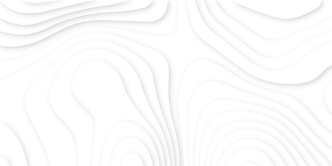 Fototapeta premium Abstract modern 3d Paper cut white background .white waves background ,paper art style, flyers posters prints .geometric background overlap layer. 