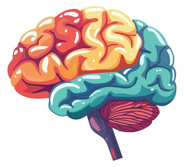 Brain, vector illustration, flat design, human brain, vibrant color palette, rainbow