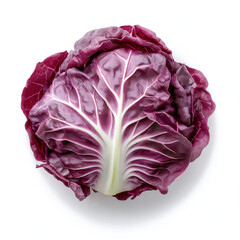 Obraz premium Radicchio Isolated