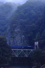  【群馬県上越線】深い霧に包まれる渓谷を渡るのぐんま6fin_2024/10/5撮影