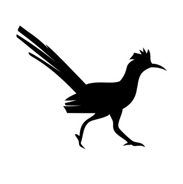 recommend clip art: Roadrunner Icon or Roadrunner Bird Silhouette Illustration