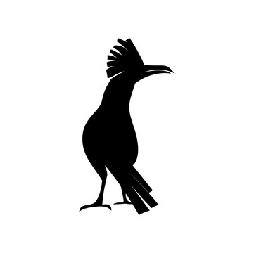 recommend clip art: Roadrunner Icon or Roadrunner Bird Silhouette Illustration