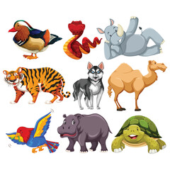 Tiger, zoo Animal vector set 