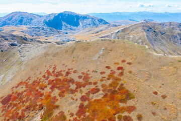 Hikers one behind the other in a hiking line on the ridge of a beautiful mountain during autumn with colorful vegetation - drone aerial shot