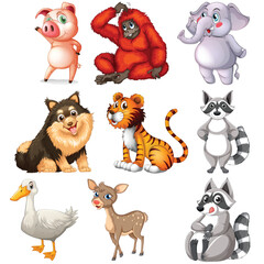 Dog,zoo,elephant,Bird vector set 