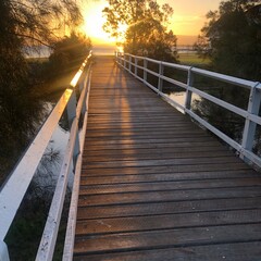 wooden bridge in the morning