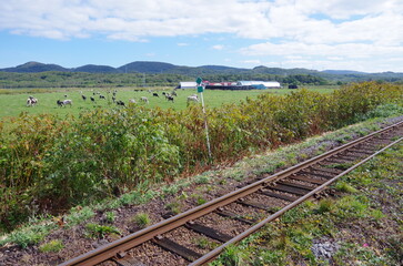 北海道の牧草地と線路