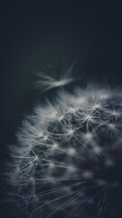 Naklejka premium Herbst