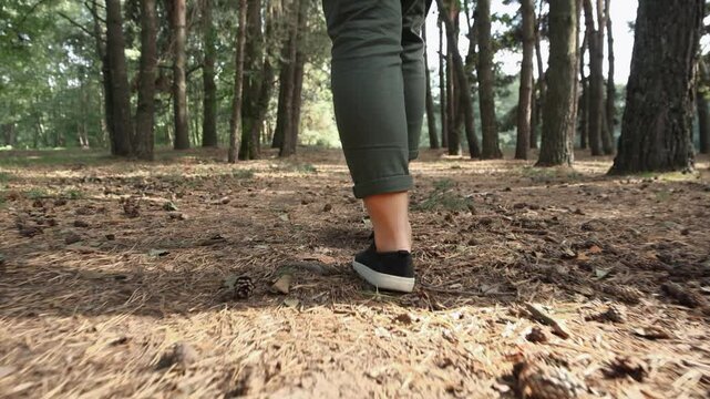 Low angle follow shot of young woman legs wearing green pants and black sneakers walking trough coniferous forest