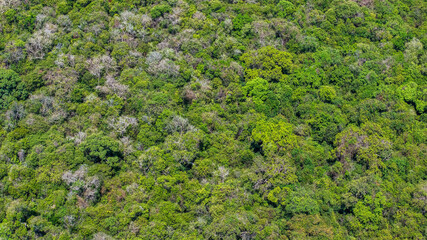 Aerial view Phuoc Buu Nature Reserve at Ba Ria Vung Tau. Concept travel trip in Vietnam nature beautiful landmark.