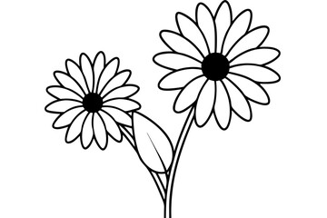
daisy flower silhouette vector, daisy flower outline vector illustration

