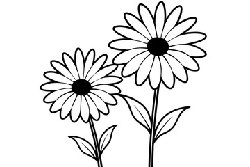 
daisy flower silhouette vector, daisy flower outline vector illustration
