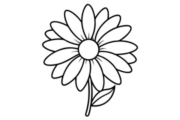 
daisy flower silhouette vector, daisy flower outline vector illustration
