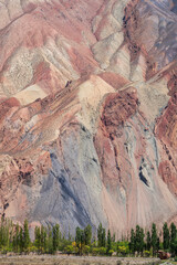 Vertical landscape view of colorful mountain with poplar trees, Aini, Sughd, Tajikistan