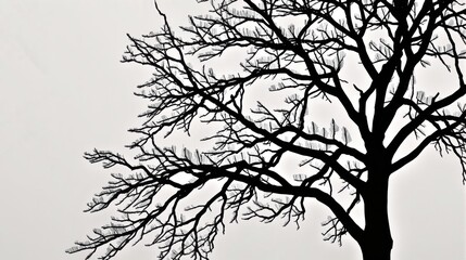 Obraz premium Generative AI, This image captures the essence of minimalist nature, featuring a single tree standing alone in a vast, featureless white space