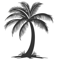 Silhouette of a palm tree with leaves and trunk.