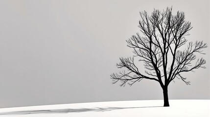Generative AI, This image captures the essence of minimalist nature, featuring a single tree standing alone in a vast, featureless white space