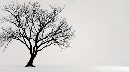 Obraz premium Generative AI, This image captures the essence of minimalist nature, featuring a single tree standing alone in a vast, featureless white space