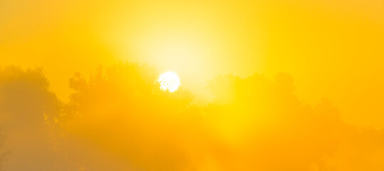 The edge of a lake in a morning mist at sunrise,  Almere, Flevoland, The Netherlands, October 5, 2024