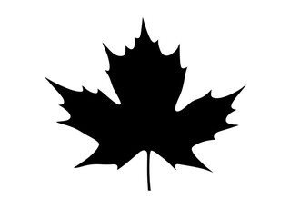 a black leaf silhouette