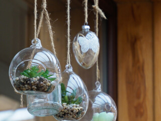 Hanging Glass Terrariums with Plants and Butterfly Ornament Against Wooden Background