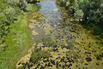 Top-down view from the Balecki bridge over the Cetina river