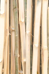 bamboo fence wall background for any use