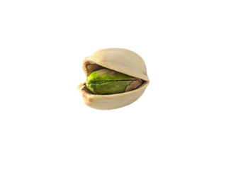 a pistachio nut with a green shell