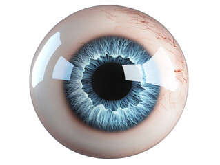 a close up of a blue eyeball