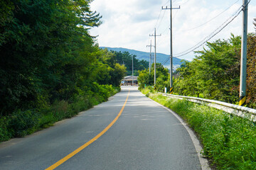 Scenic view of a winding country road surrounded by lush green foliage and trees, leading towards distant mountains