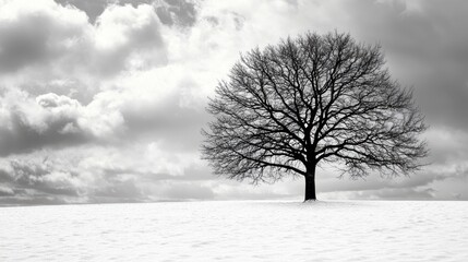 Fototapeta premium Abstract Black and White Winter Landscape with Tree