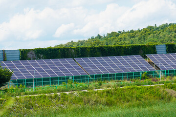 solar panels photovoltaics in solar farm