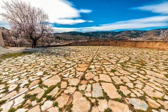 In agriculture, the threshing floor is the land (usually circular and paved) where cereals were threshed and then winnowed to obtain the grain.