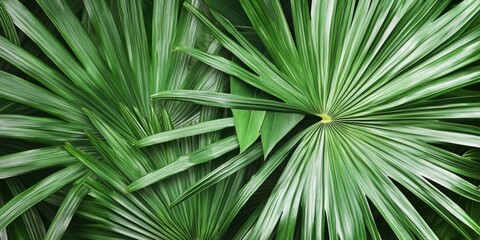 Obraz premium A detailed close-up of a green palm leaf, showcasing its intricate texture and vibrant color. This botanical image highlights the unique veins and patterns found in tropical foliage