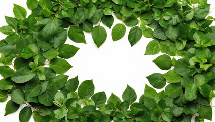 Lush Green Leaves Forming a Natural Round Design