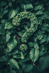 Fototapeta premium green leaf question mark