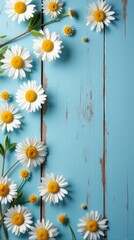 Fototapeta premium Collection of White and Yellow Daisies With Various Sizes Scattered Across a Rustic Blue Wooden Background
