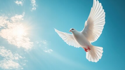 Obraz premium A white dove soaring against a bright blue sky, symbolizing peace and freedom.